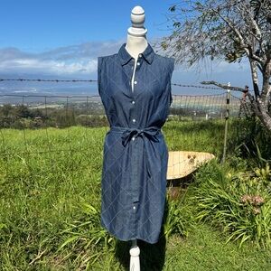 Tommy Hilfiger preppy chambray sleeveless shirt dress blue cotton size 4